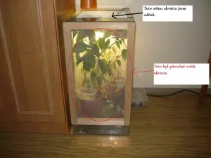 F