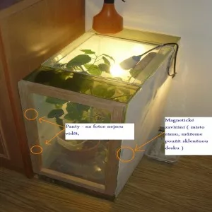 F