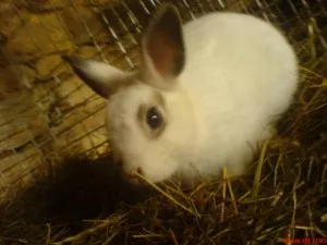 Fotka k příspěvku