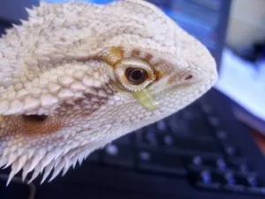 Fotka k příspěvku