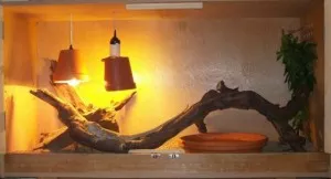 Fotka k příspěvku