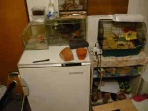 Fotka k příspěvku