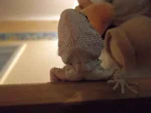 Fotka k příspěvku