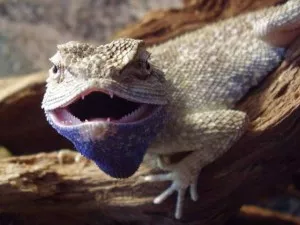 Fotka k příspěvku
