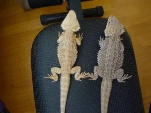 Fotka k příspěvku
