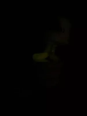 Fotka k příspěvku