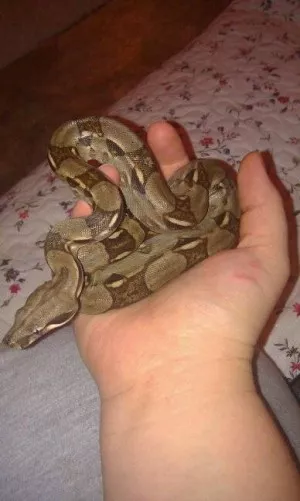 Fotka k příspěvku