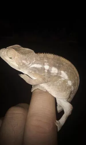 Fotka k příspěvku