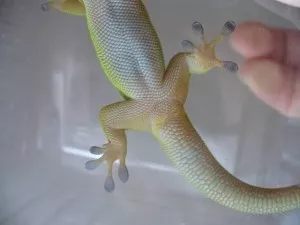 Fotka k příspěvku