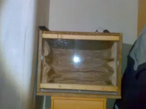 Fotka k příspěvku