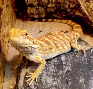 Fotka k příspěvku