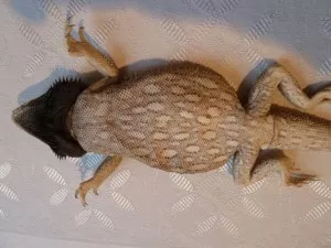 Fotka k příspěvku