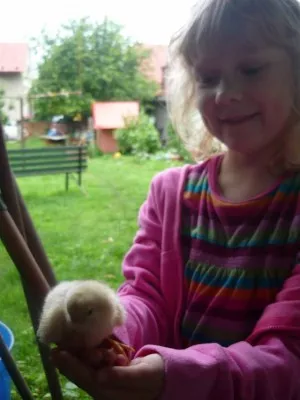 Fotka k příspěvku