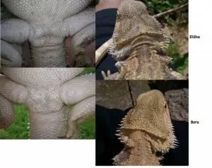 Fotka k příspěvku
