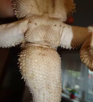 Fotka k příspěvku
