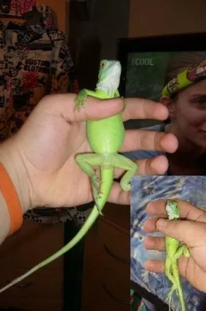 Fotka k příspěvku