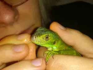 Fotka k příspěvku