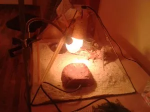 Fotka k příspěvku