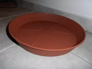 Fotka k příspěvku