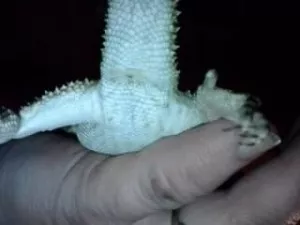 Fotka k příspěvku