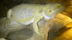 Fotka k příspěvku
