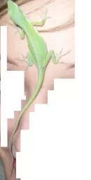 Fotka k příspěvku