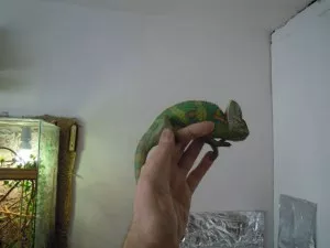 Fotka k příspěvku