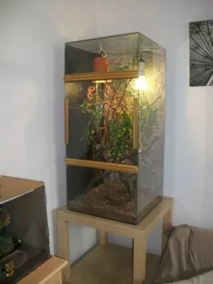 Fotka k příspěvku