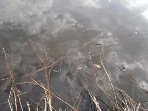 Fotka k příspěvku