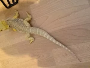 Fotka k příspěvku