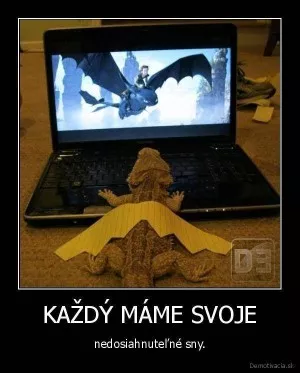 Fotka k příspěvku