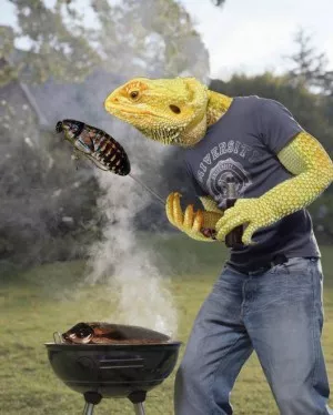Fotka k příspěvku