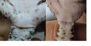 Fotka k příspěvku
