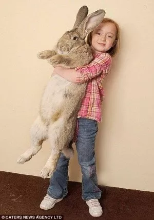 Fotka k příspěvku