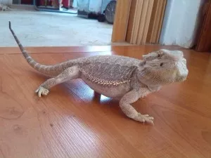 Fotka k příspěvku