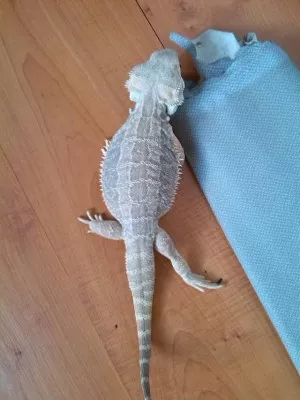 Fotka k příspěvku