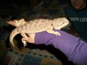 Fotka k příspěvku