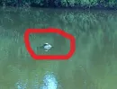 Fotka k příspěvku