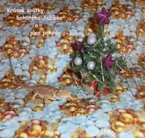 Fotka k příspěvku