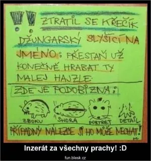Fotka k příspěvku