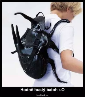 Fotka k příspěvku