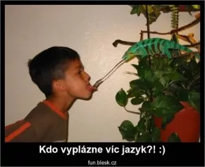 Fotka k příspěvku