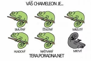 Fotka k příspěvku