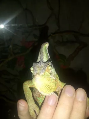 Fotka k příspěvku