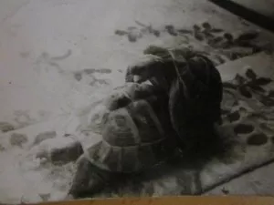 Fotka k příspěvku