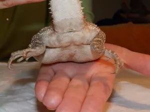 Fotka k příspěvku