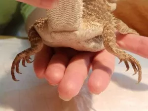 Fotka k příspěvku