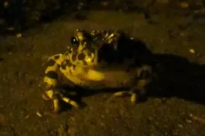 Fotka k příspěvku