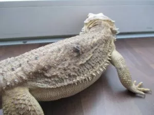 Fotka k příspěvku
