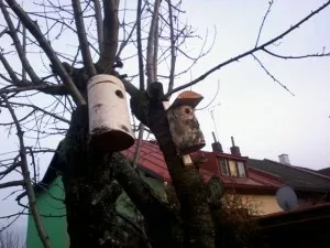 Fotka k příspěvku